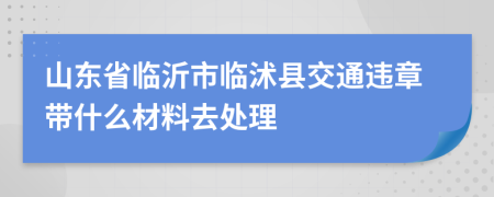 山东省临沂市临沭县交通违章带什么材料去处理