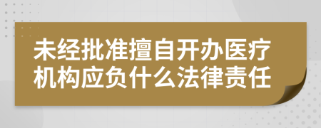 未经批准擅自开办医疗机构应负什么法律责任