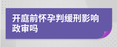 开庭前怀孕判缓刑影响政审吗