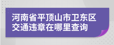 河南省平顶山市卫东区交通违章在哪里查询