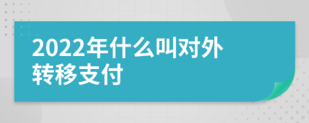 2022年什么叫对外转移支付