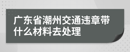 广东省潮州交通违章带什么材料去处理