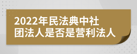2022年民法典中社团法人是否是营利法人