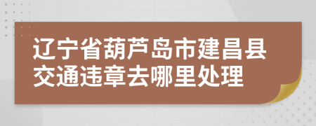 辽宁省葫芦岛市建昌县交通违章去哪里处理