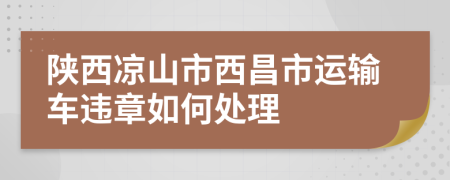 陕西凉山市西昌市运输车违章如何处理