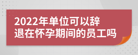 2022年单位可以辞退在怀孕期间的员工吗