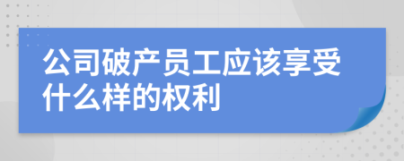 公司破产员工应该享受什么样的权利