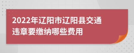 2022年辽阳市辽阳县交通违章要缴纳哪些费用