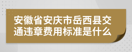 安徽省安庆市岳西县交通违章费用标准是什么