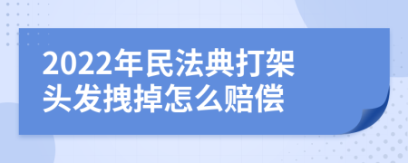 2022年民法典打架头发拽掉怎么赔偿