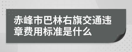 赤峰市巴林右旗交通违章费用标准是什么