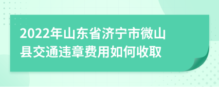 2022年山东省济宁市微山县交通违章费用如何收取