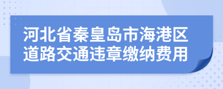 河北省秦皇岛市海港区道路交通违章缴纳费用