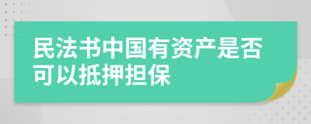 民法书中国有资产是否可以抵押担保