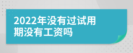 2022年没有过试用期没有工资吗