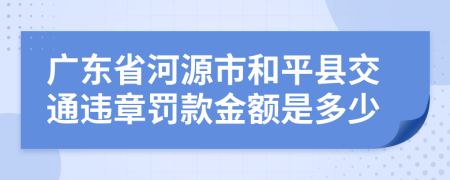 广东省河源市和平县交通违章罚款金额是多少