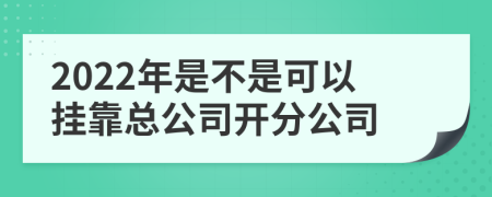 2022年是不是可以挂靠总公司开分公司