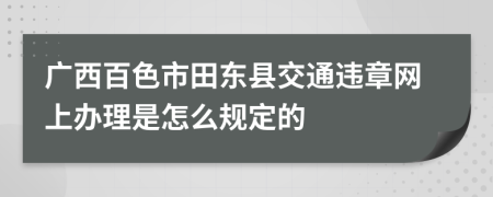 广西百色市田东县交通违章网上办理是怎么规定的
