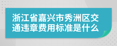 浙江省嘉兴市秀洲区交通违章费用标准是什么