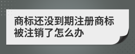 商标还没到期注册商标被注销了怎么办