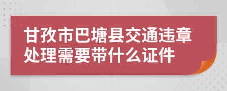 甘孜市巴塘县交通违章处理需要带什么证件