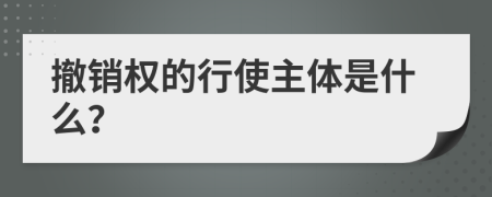 撤销权的行使主体是什么？