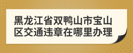 黑龙江省双鸭山市宝山区交通违章在哪里办理