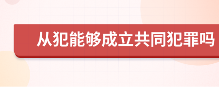 从犯能够成立共同犯罪吗