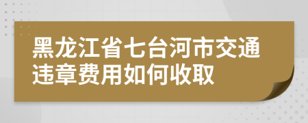 黑龙江省七台河市交通违章费用如何收取