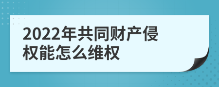 2022年共同财产侵权能怎么维权