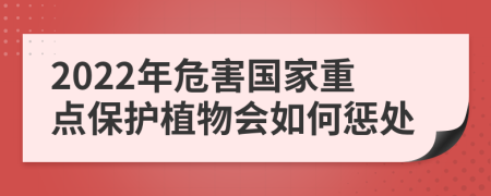 2022年危害国家重点保护植物会如何惩处