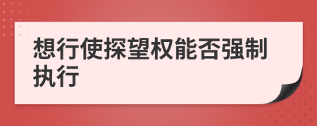 想行使探望权能否强制执行