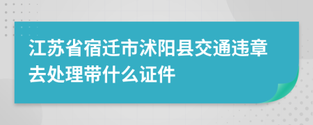 江苏省宿迁市沭阳县交通违章去处理带什么证件