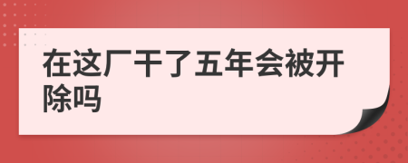 在这厂干了五年会被开除吗