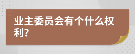 业主委员会有个什么权利？