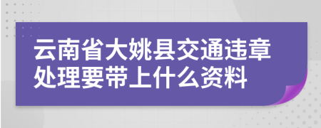 云南省大姚县交通违章处理要带上什么资料