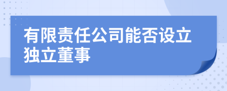 有限责任公司能否设立独立董事