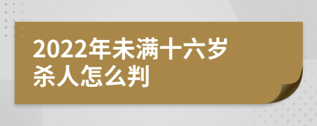 2022年未满十六岁杀人怎么判