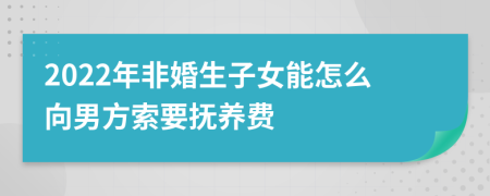 2022年非婚生子女能怎么向男方索要抚养费