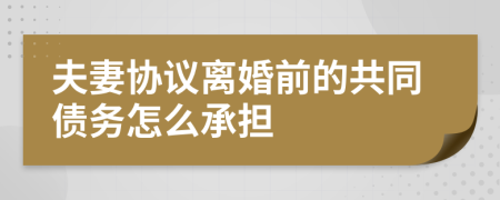 夫妻协议离婚前的共同债务怎么承担