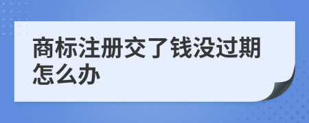 商标注册交了钱没过期怎么办