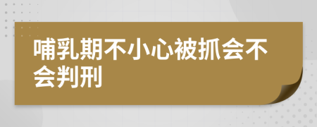 哺乳期不小心被抓会不会判刑