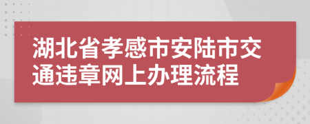 湖北省孝感市安陆市交通违章网上办理流程