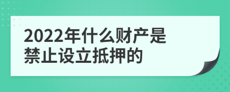 2022年什么财产是禁止设立抵押的