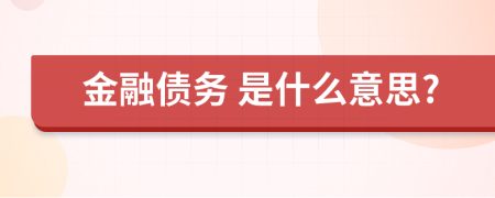  金融债务 是什么意思?