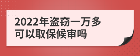 2022年盗窃一万多可以取保候审吗