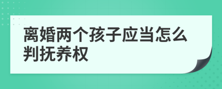 离婚两个孩子应当怎么判抚养权