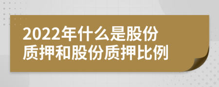 2022年什么是股份质押和股份质押比例