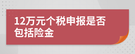 12万元个税申报是否包括险金