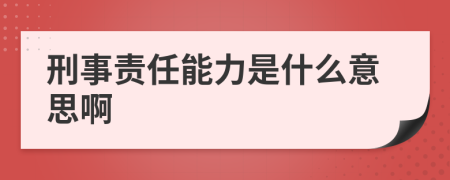 刑事责任能力是什么意思啊